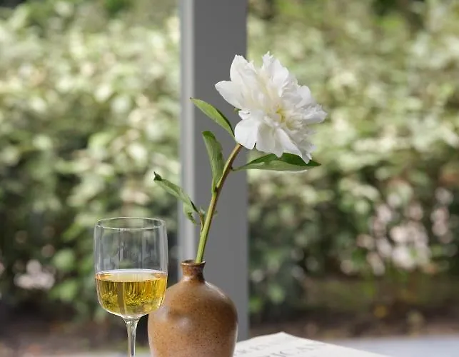 Boutique Benedict 5* Нордвейк-ан-Зее